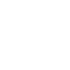 house icon