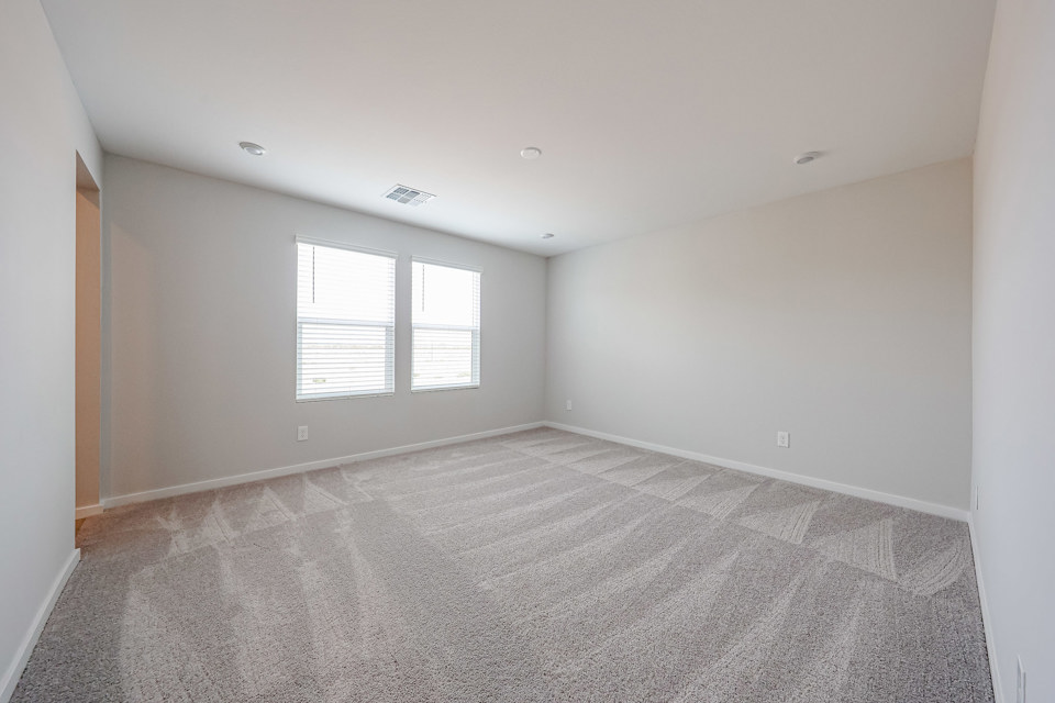 A room with a carpet and windows.