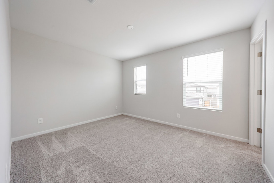 A room with a carpet and windows.