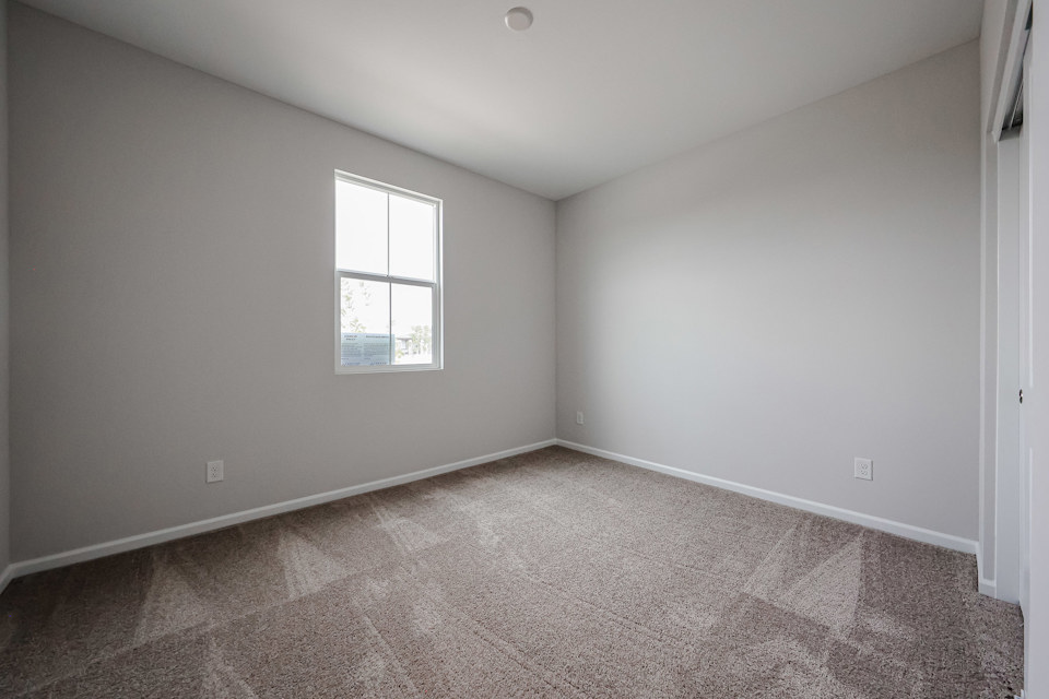 A room with a carpet and windows.
