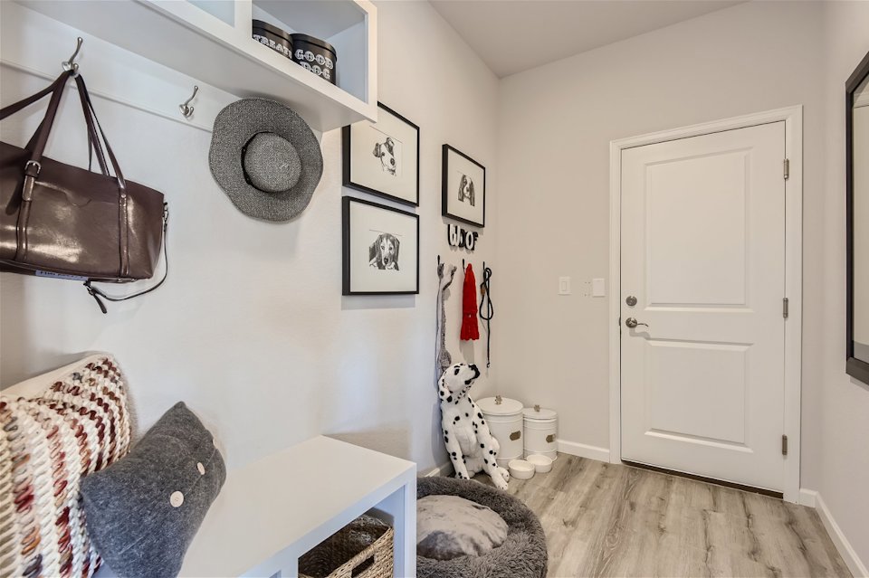 A room with a white door and a white door with a black and white cat and a black.