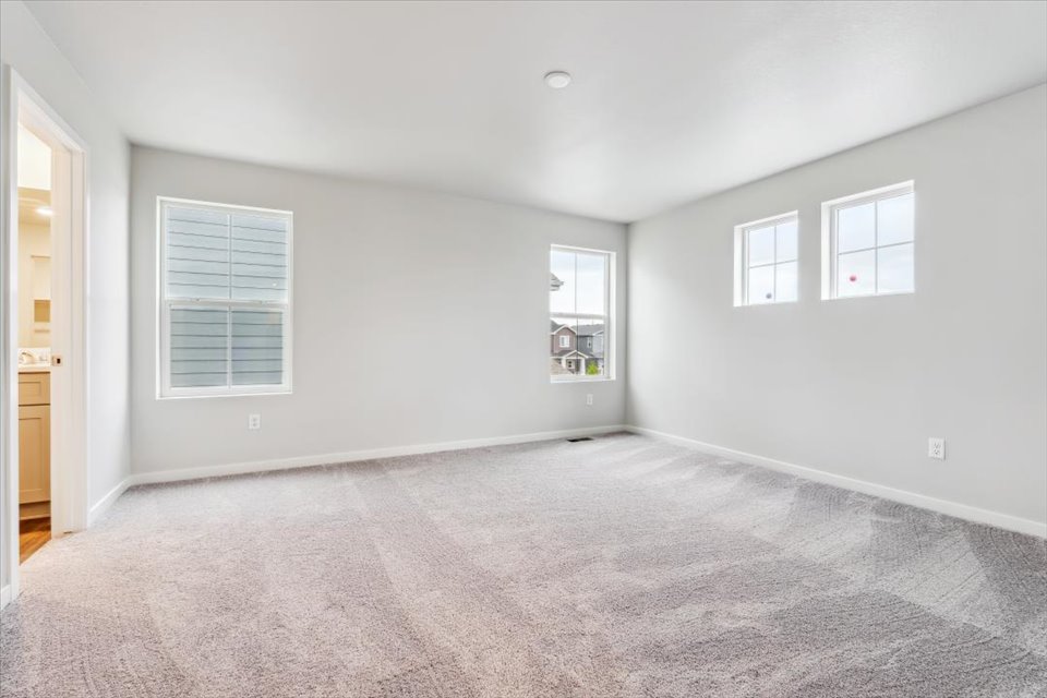 A room with a carpet and windows.
