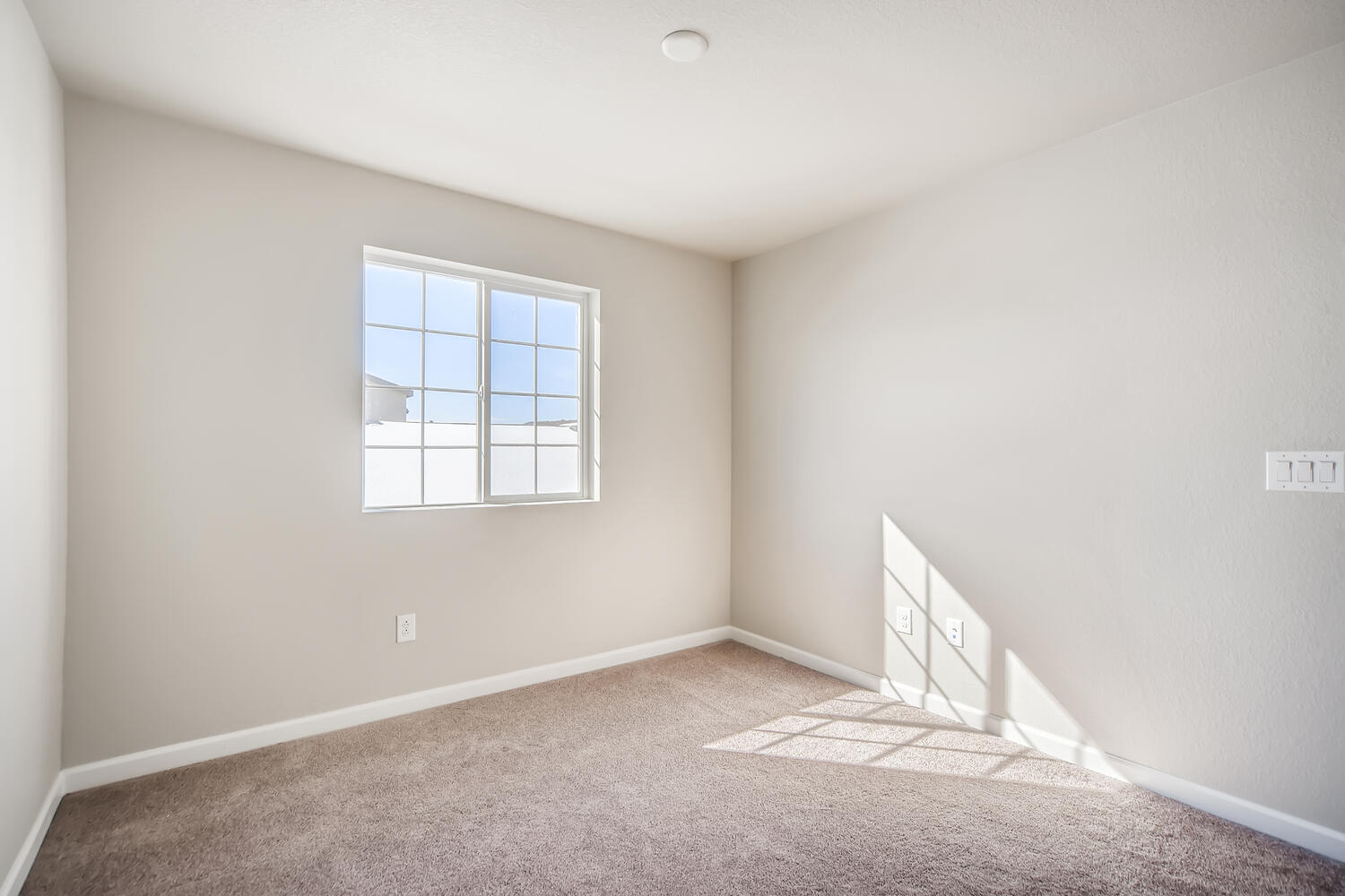 A room with a window and a rug.