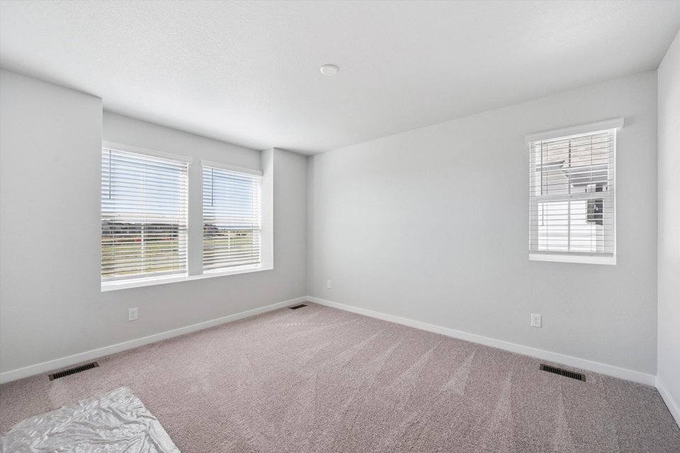 A room with a carpet and windows.