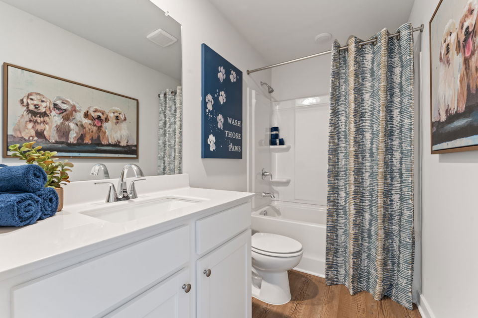 A bathroom with a shower curtain.