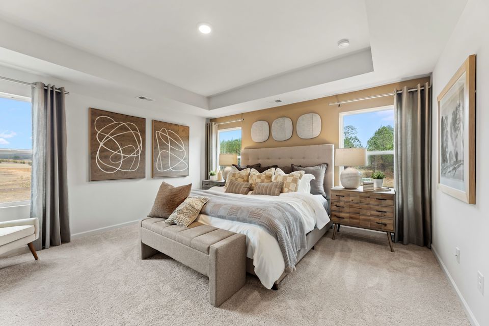 A bedroom with a bed and couches.
