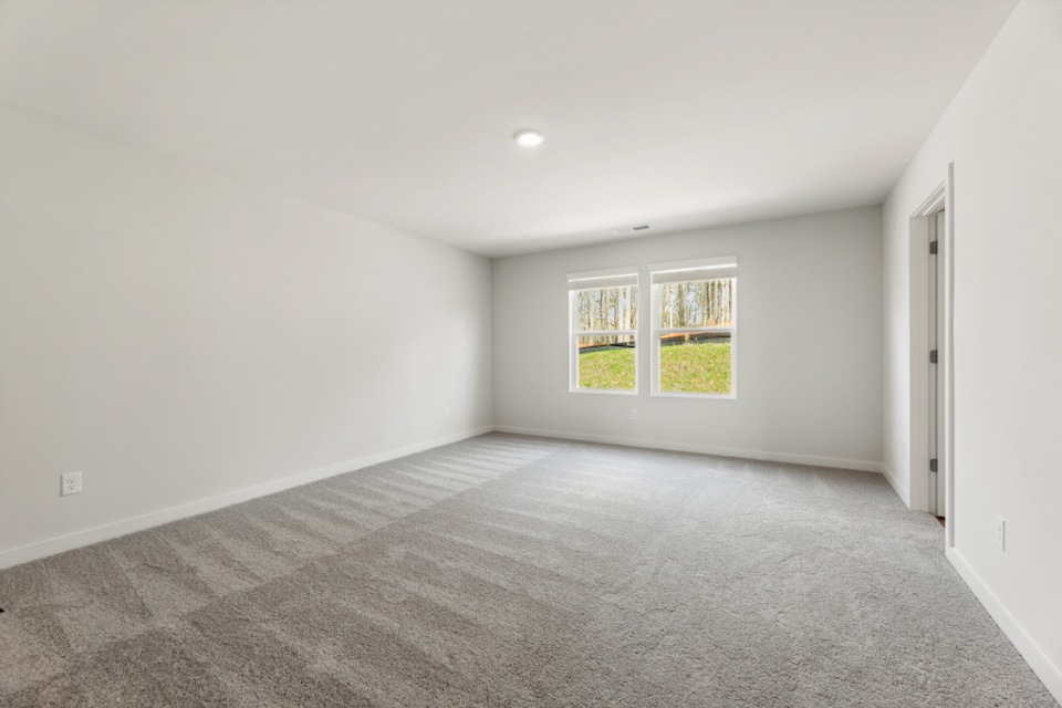 A room with a carpet and windows.