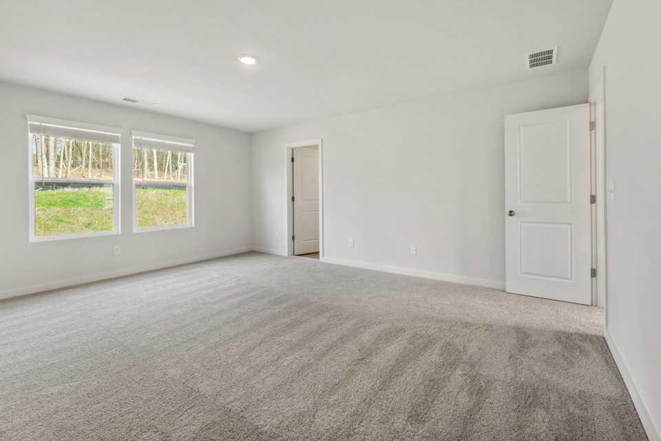 A room with a carpet and windows.
