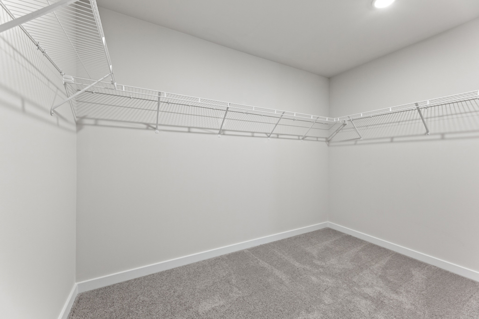 A white room with a grey carpet.