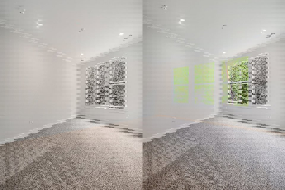 A room with a carpet and windows.