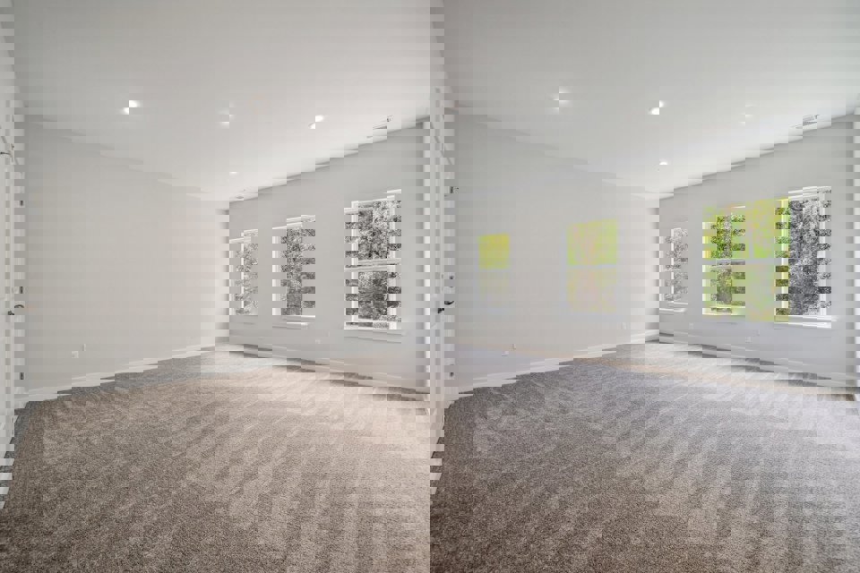 A room with a carpet and windows.