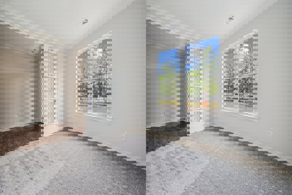 A room with a window and a rug.