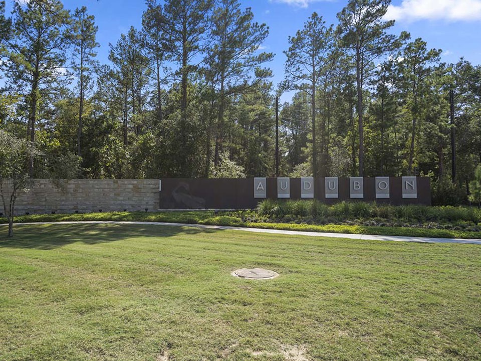A grassy area with trees in the background.