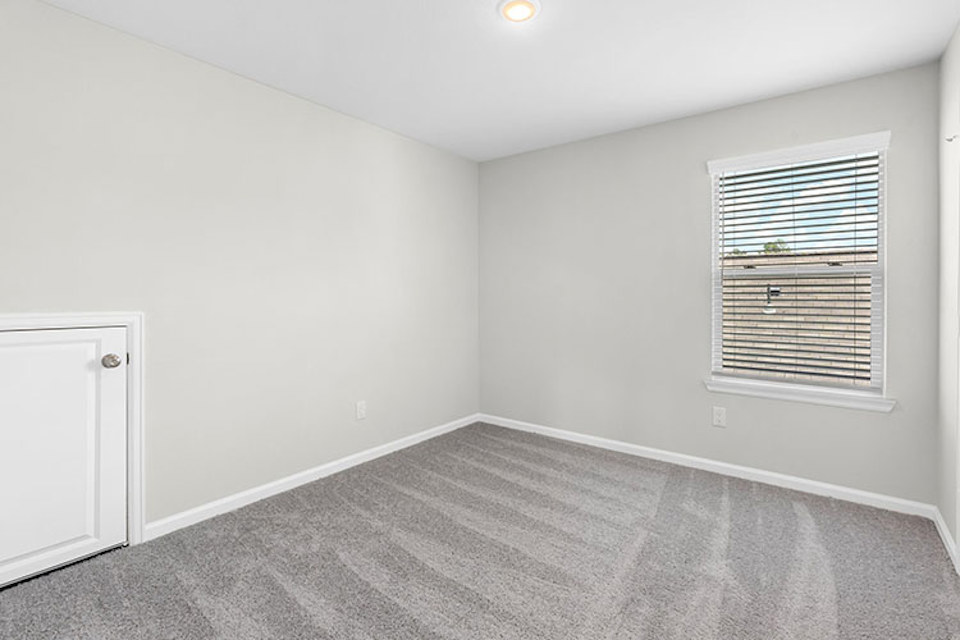 A room with a rug and a window.