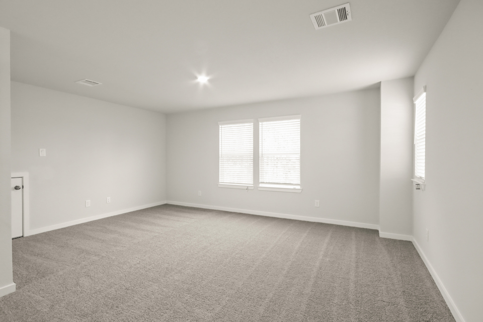 A room with a carpet and windows.
