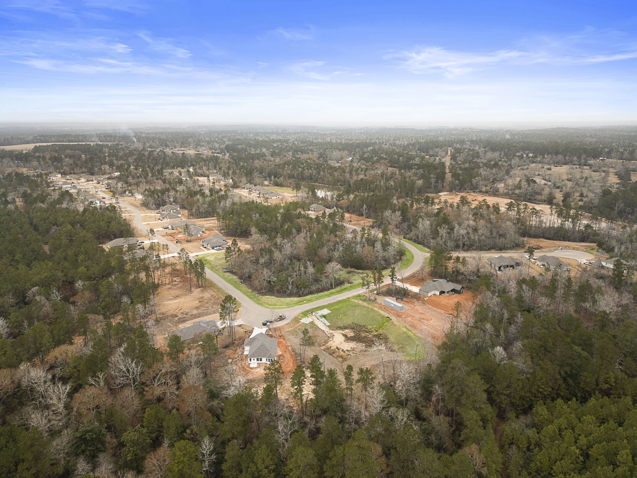 A landscape with trees and buildings.