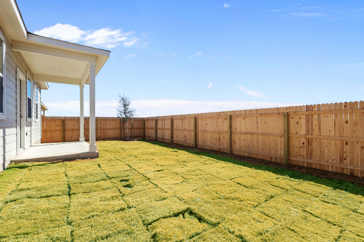 A fenced in yard with a tree and a house.
