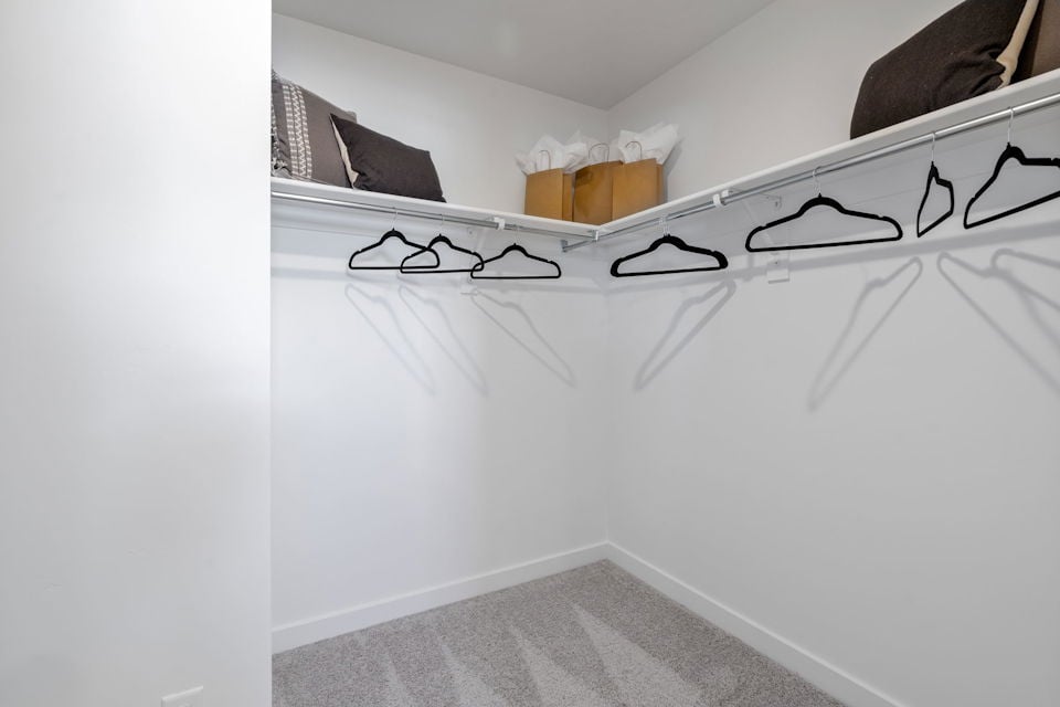 A room with a bed and glasses.