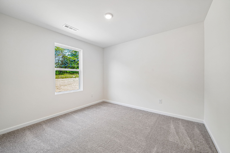 A room with a window and a tree outside.